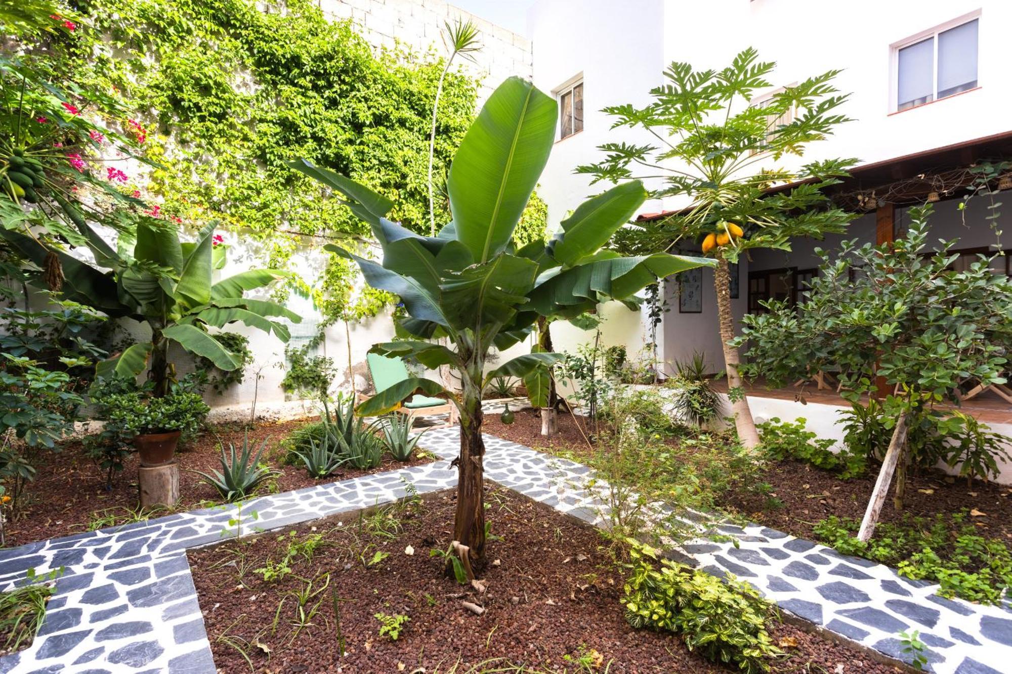 Garachico Center Secret Garden Garachico (Tenerife) Exterior foto